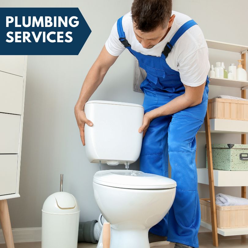Plumbing Company in Oakfield, GA